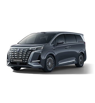 2025款博天堂官方网站D9